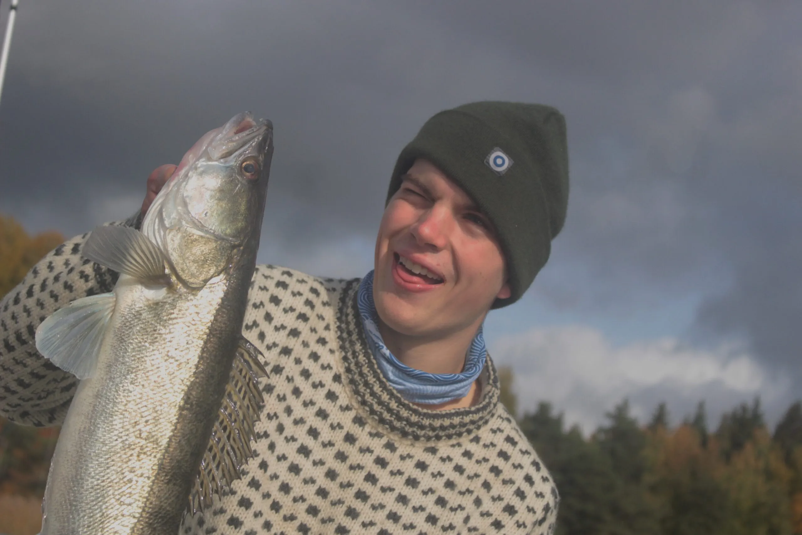 Bild från en halvdagstur med guide